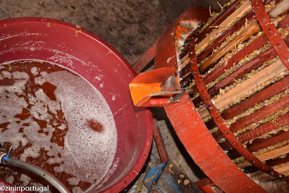 Sap van witte druiven