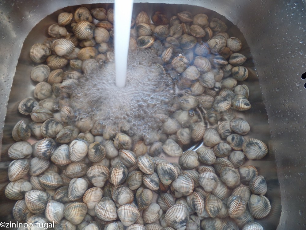 Afspoelen kokkels