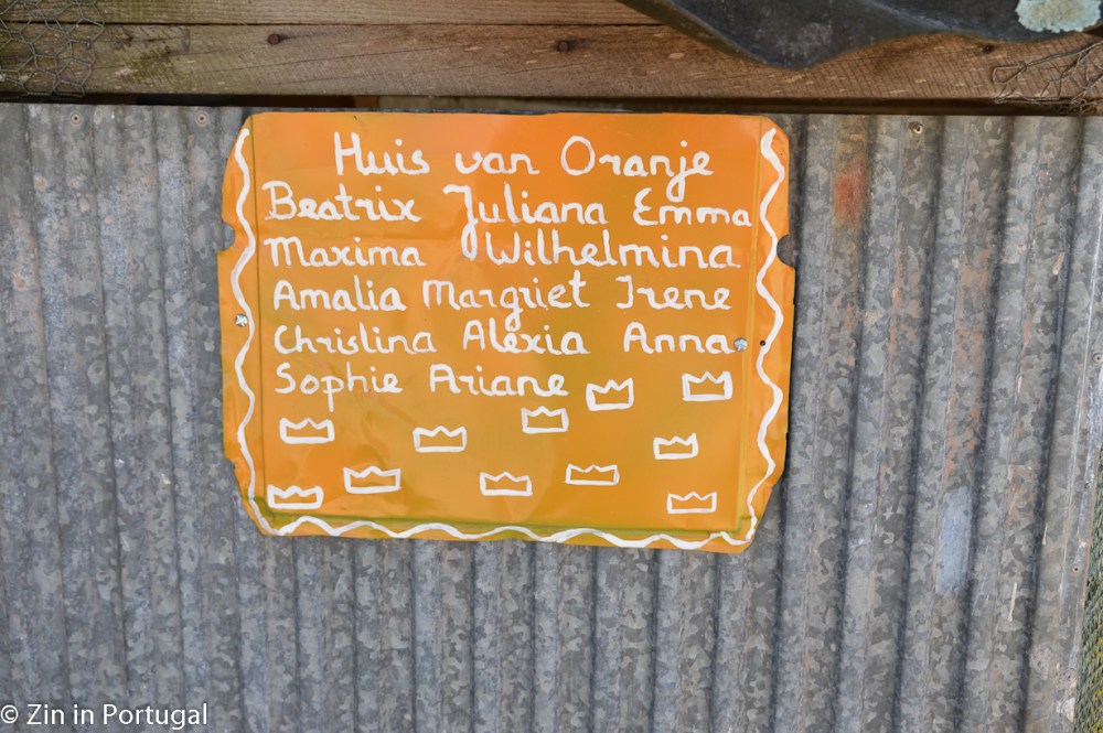 DSC_7502_kopie_kopie_2_