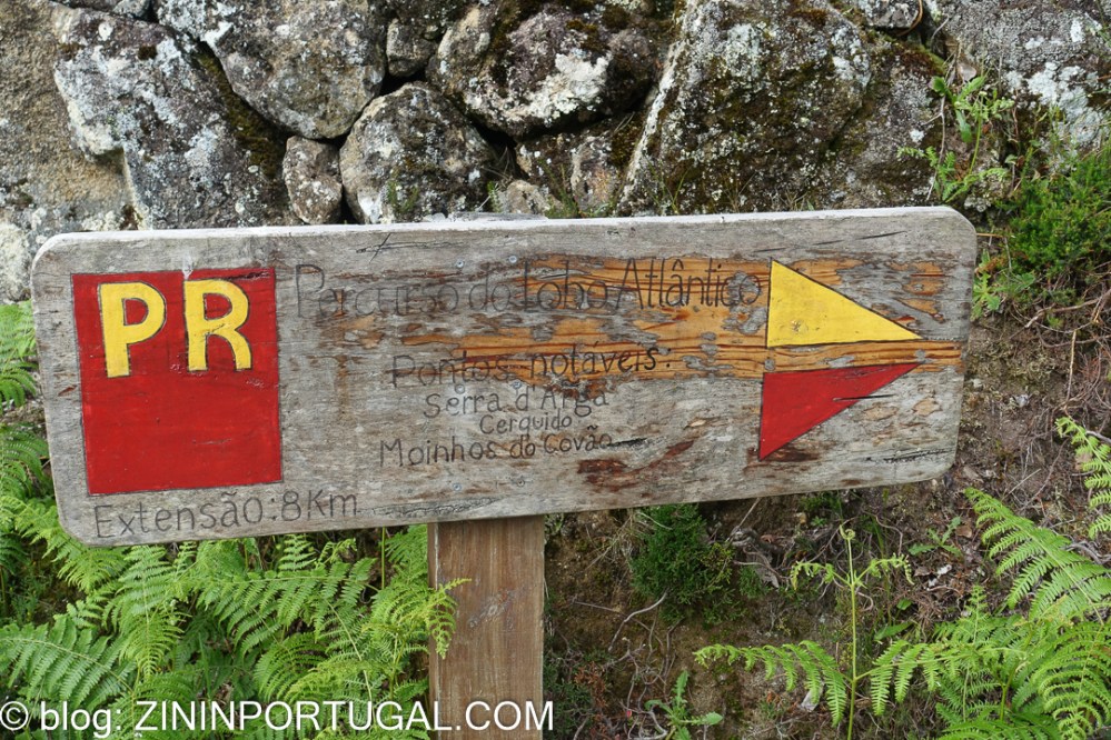 Trail Lobo Atlântico