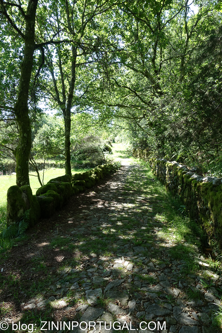 Trail Lobo Atlântico 01