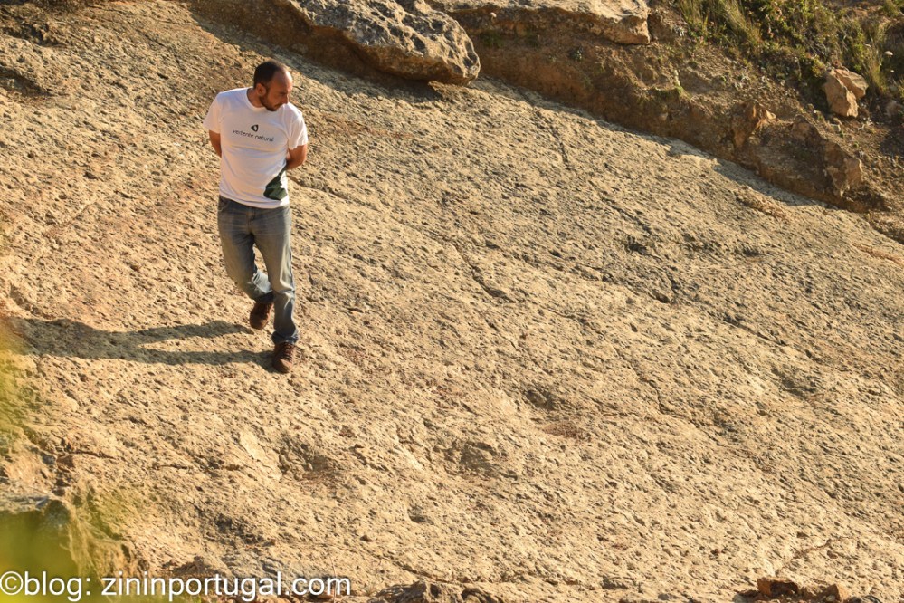 Gids van Vertente Natural