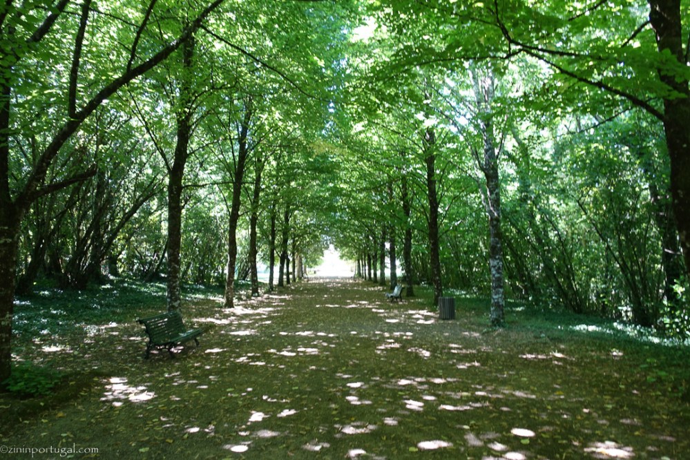 Palácio da Brejoeira