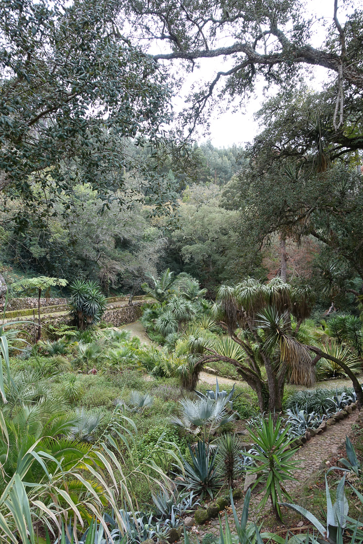 Sintra Palácio de Monserrate - zininportugal.com