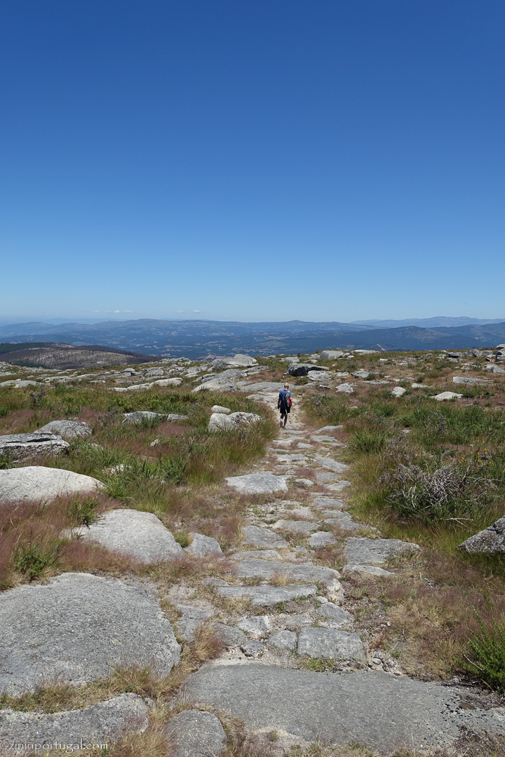 #zininportugal