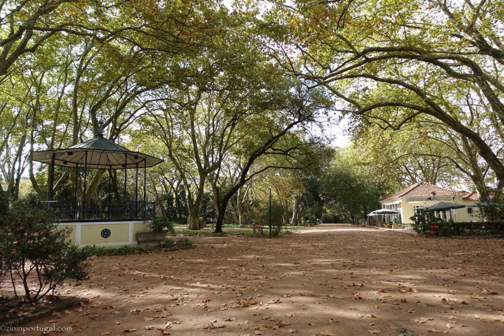 #zininportugal