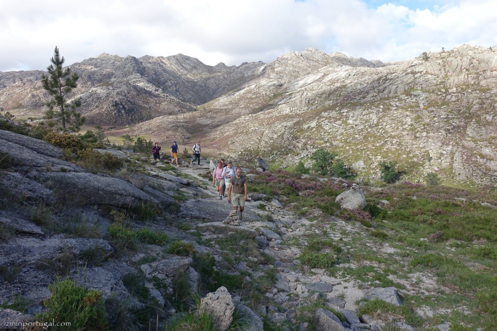 #zininportugal