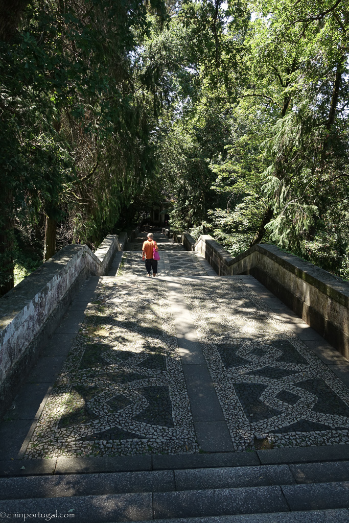 #zininportugal