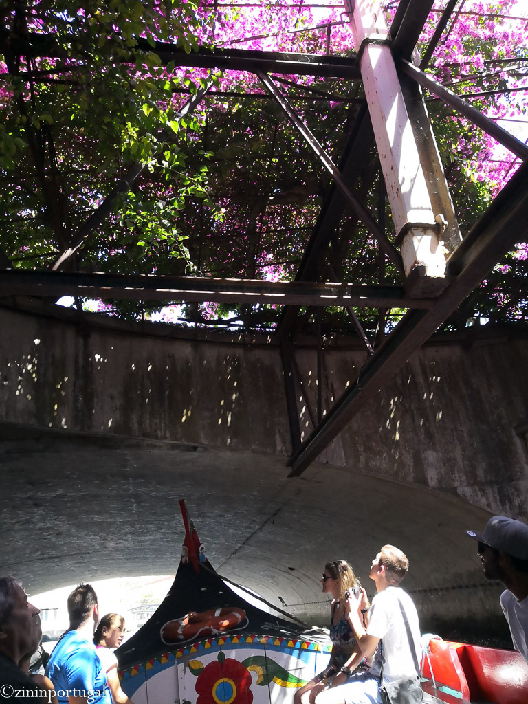 #zininportugal