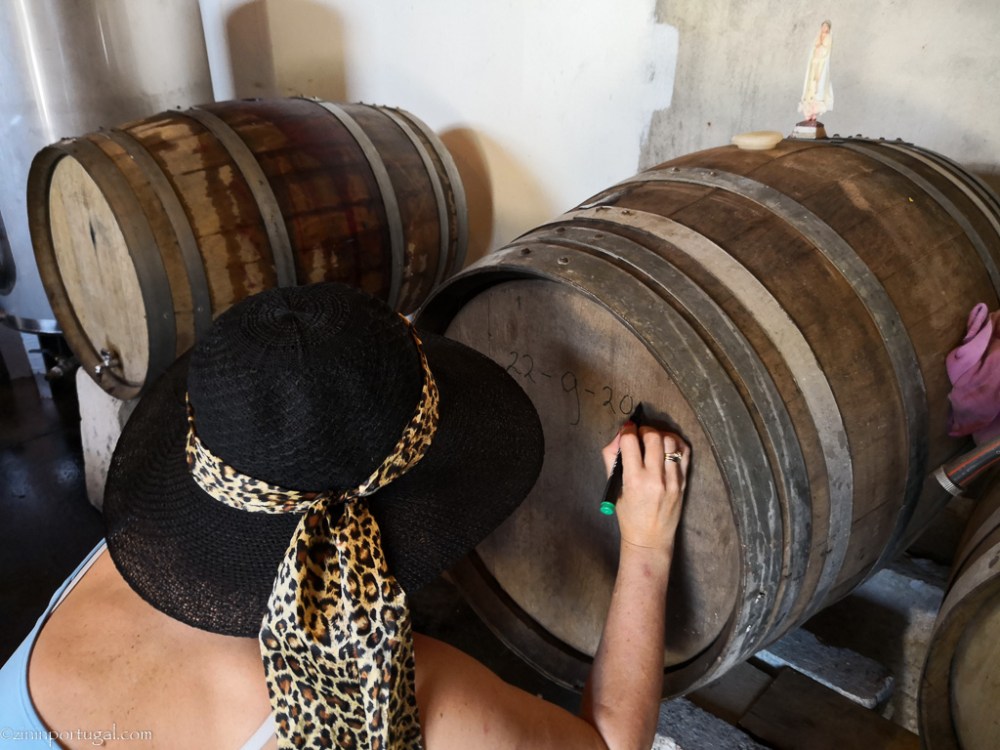 IMG_20180924_155451_1_BURST001_COVER