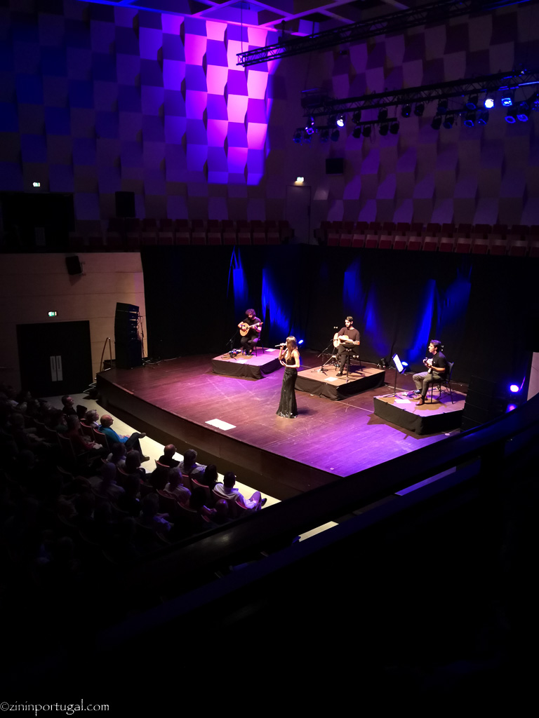 #zininportugal