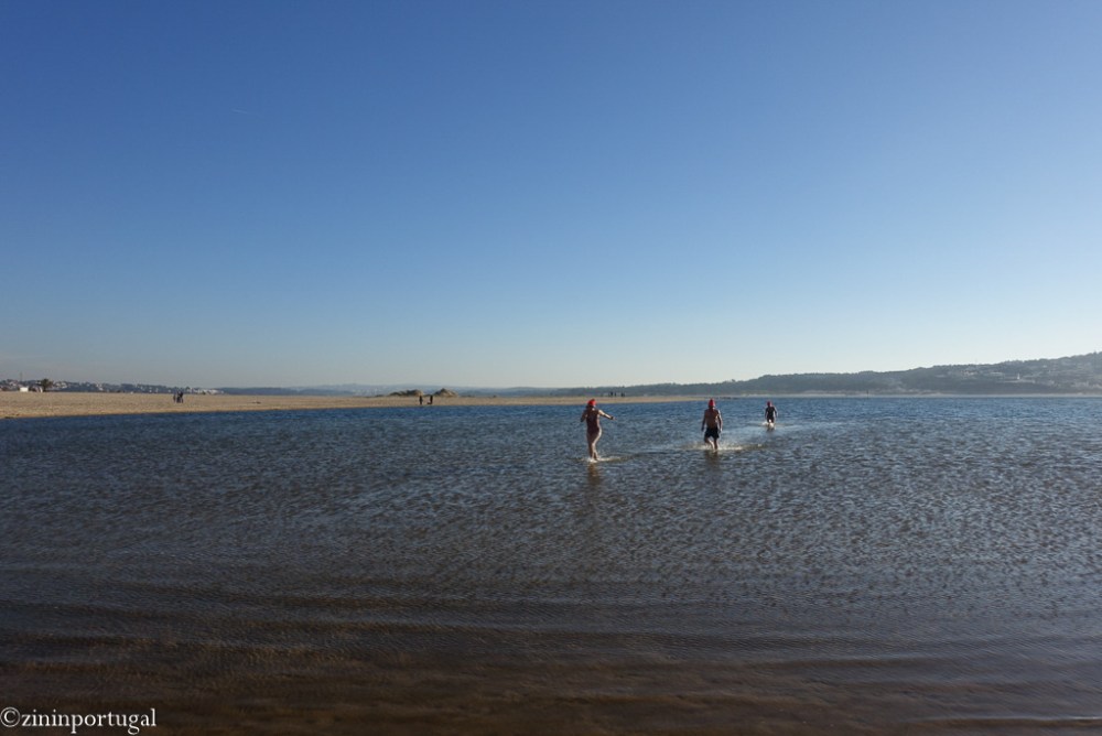 #zininportugal