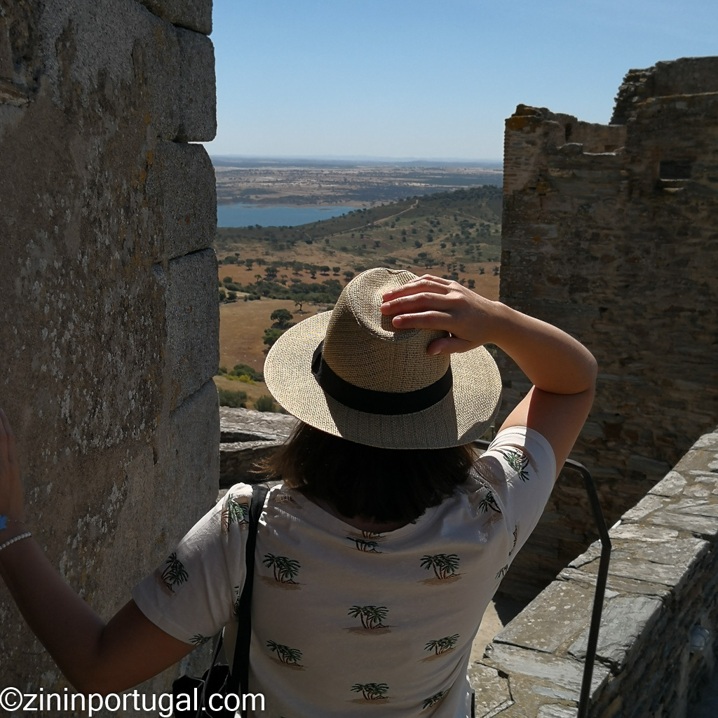 #zininportugal